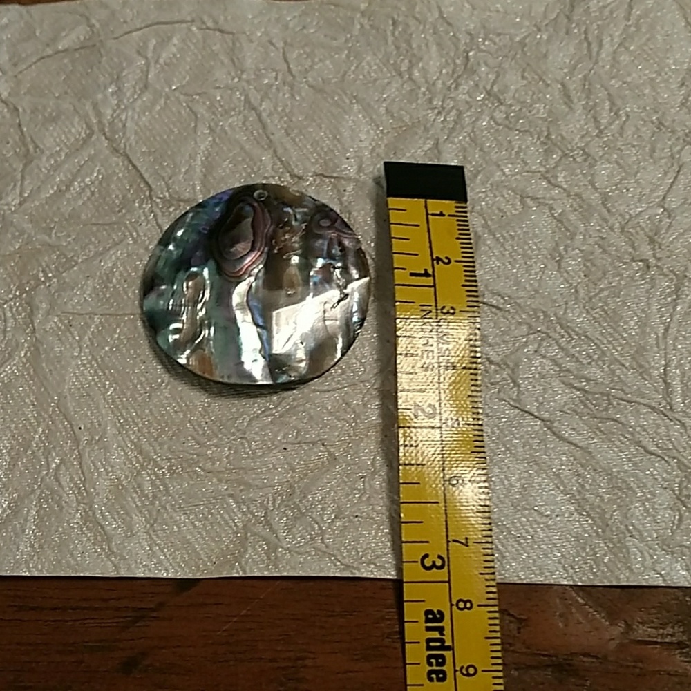 Large piece of Abalone